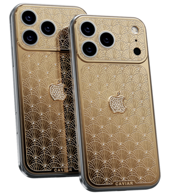 Custom iPhone 18 Pro/Pro Max Palmette 18K