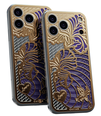 Custom iPhone 18 Pro/Pro Max 爱虹膜